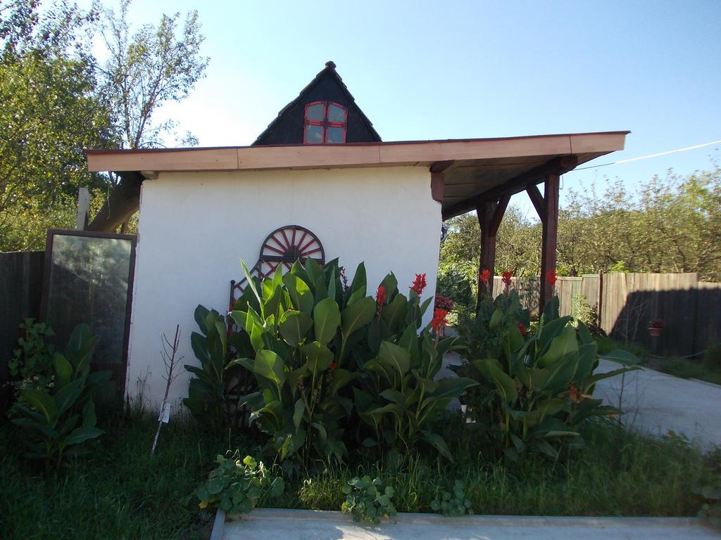 Legenda Anotimpurilor Villa Alma Exterior foto