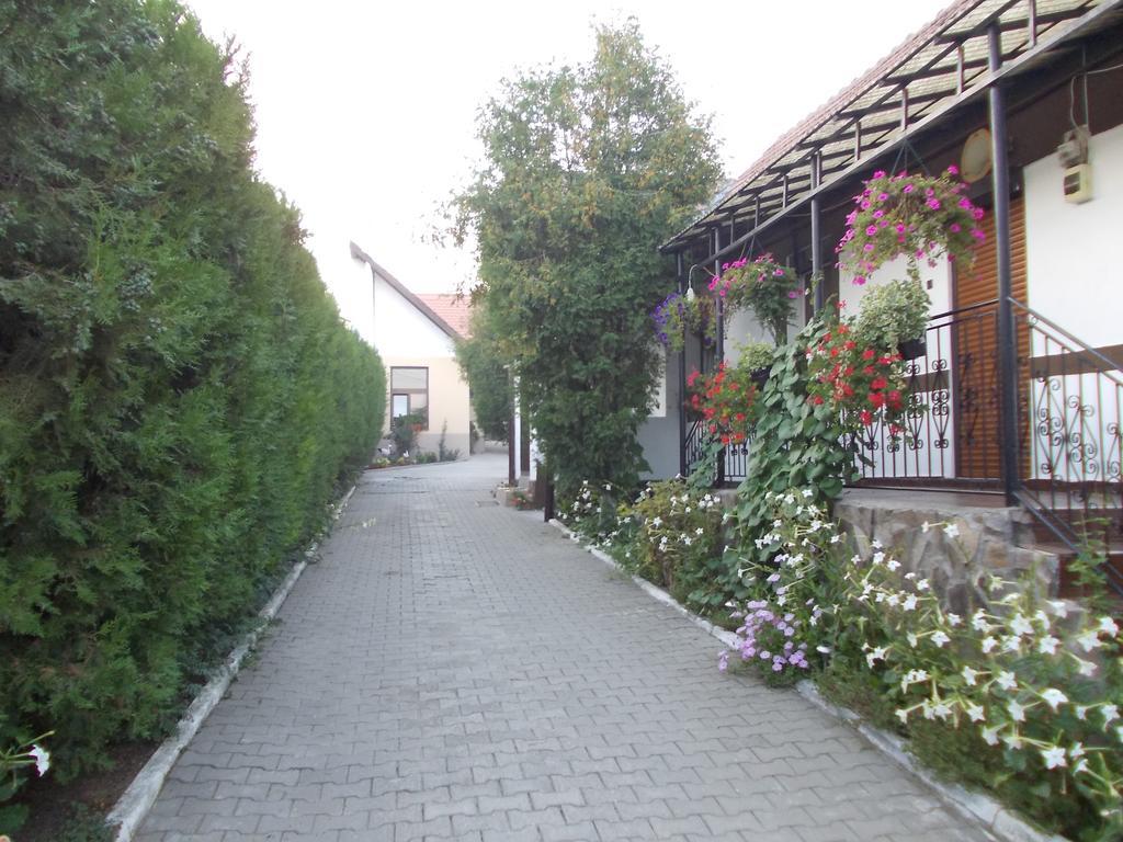 Legenda Anotimpurilor Villa Alma Exterior foto