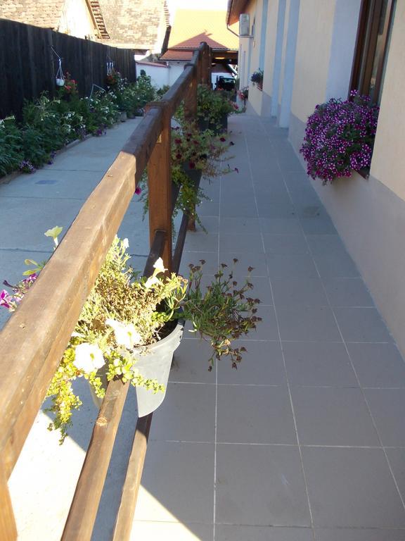 Legenda Anotimpurilor Villa Alma Exterior foto